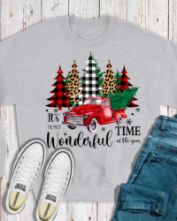 CH435-The Most Wonderful Time of the Year Sweatshirt
